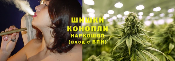 прущие грибы Краснослободск