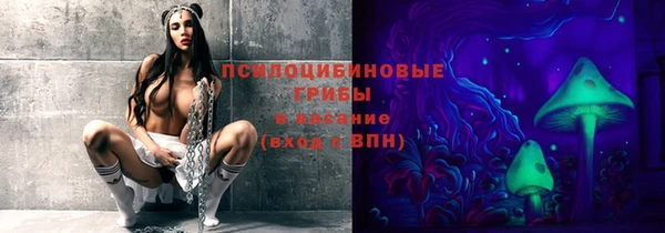 СК Болохово