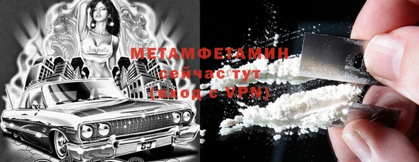 прущие грибы Краснослободск