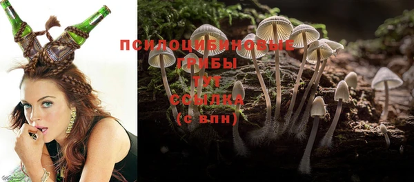 тгк Болхов
