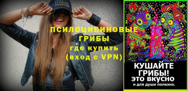 СК Болохово