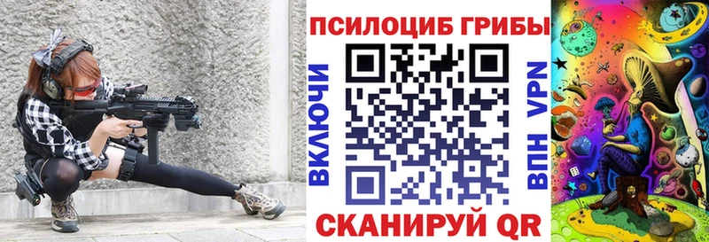 где купить   Курчатов  Псилоцибиновые грибы ЛСД 
